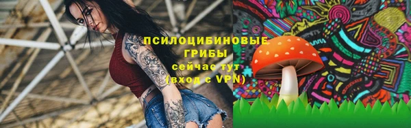 твердый Липки